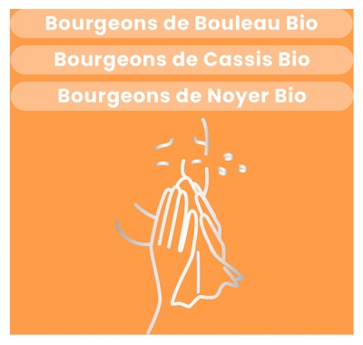 Santarome Bio Allerus Bouleau Cassis Noyer Bio 30 ml