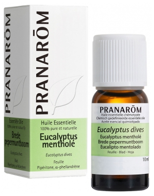 Pranarôm Huile Essentielle Eucalyptus Mentholé Eucalyptus Dives Feuilles 10 ml