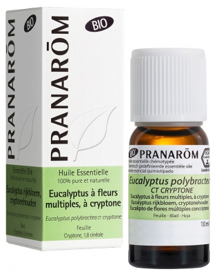 Pranarôm Eucalyptus a Fl. Multiples a Cryptone Feuille Bio (Eco) 10 ml