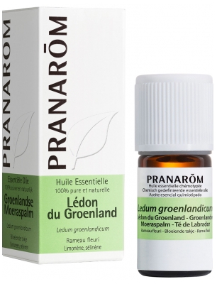 Pranarôm Huile Essentielle Lédon du Groenland Ledum Groenlandicum Rameau Fleuri Hect 5 ml