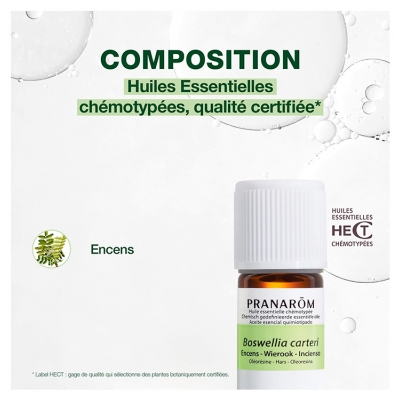 Pranarôm Huile Essentielle Encens Boswellia Carteri Oléorésine Hect 5 ml