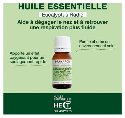 Pranarôm Huile Essentielle Eucalyptus Radié Eucalyptus Radiata Ssp Radiata Hect 10 ml