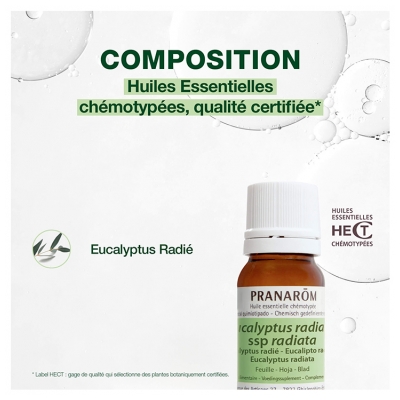 Pranarôm Huile Essentielle Eucalyptus Radié Eucalyptus Radiata Ssp Radiata Hect 10 ml