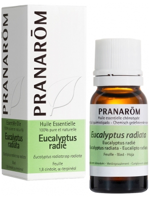 Pranarôm Huile Essentielle Eucalyptus Radié Eucalyptus Radiata Ssp Radiata Hect 10 ml