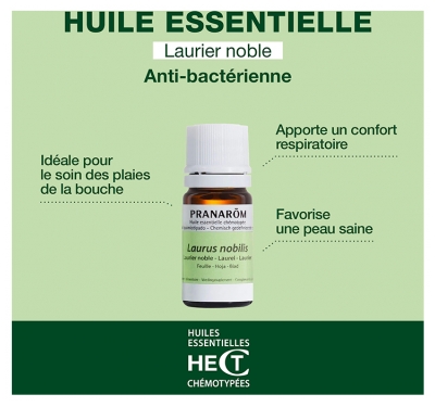 Pranarôm Huile Essentielle Laurier Noble Laurus Nobilis Feuille Hect 5 ml
