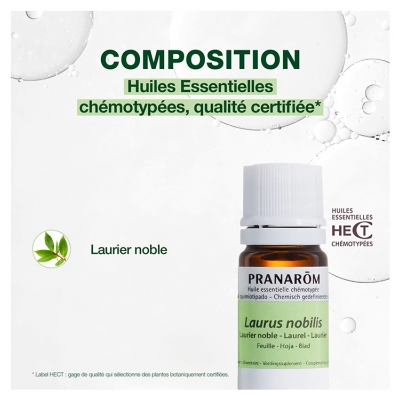 Pranarôm Huile Essentielle Laurier Noble Laurus Nobilis Feuille Hect 5 ml