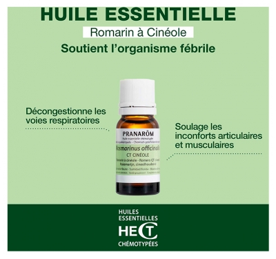 Pranarôm Huile Essentielle Romarin à Cinéole Rosmarinus Officinalis Ct Cineole Sommité Fleurie Hect 10 ml