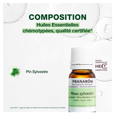 Pranarôm Huile Essentielle Pin Sylvestre Pinus Sylvestris Aiguille Hect 10 ml