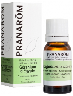 Pranarôm Huile Essentielle Géranium d'Egypte Pélargonium X Graveolens Feuille Hect 10 ml
