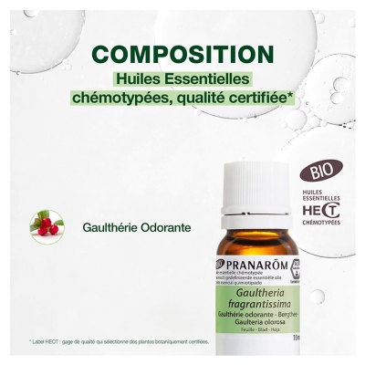 Pranarôm Gaulthérie Odorante Bio Gaultheria Fragrantissima Feuille 10 ml