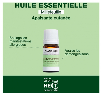 Pranarôm Huile Essentielle Millefeuille Achillea Millefolium Sommité Fleurie Hect 5 ml