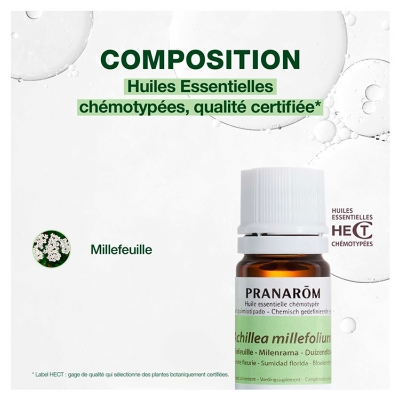 Pranarôm Huile Essentielle Millefeuille Achillea Millefolium Sommité Fleurie Hect 5 ml