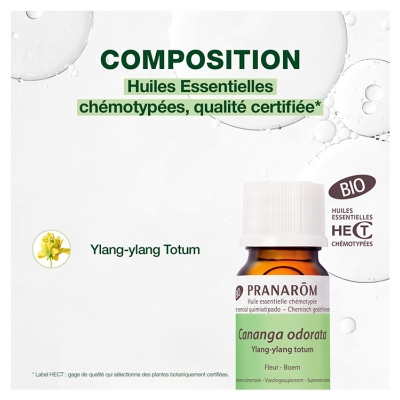 Pranarôm Huile Essentielle Ylang Bio Cananga Odorata Fleur Hect 5 ml