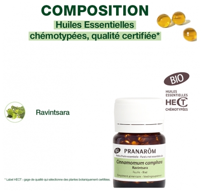 Pranarôm Perles Ravintsara (Cinnamomum Camphora) Bio 60 Perles 