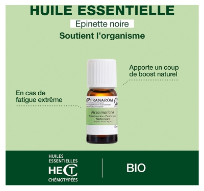 Pranarôm Huile Essentielle Épinette Noire Bio Picea Mariana Hect 10 ml