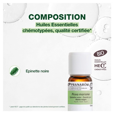 Pranarôm Huile Essentielle Épinette Noire Bio Picea Mariana Hect 10 ml