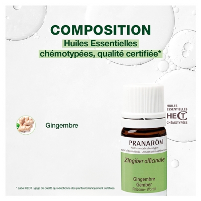 Pranarôm Huile Essentielle Gingembre Zingiber Officinale Rizhome Hect 5 ml