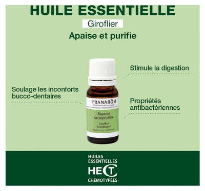 Pranarôm Huile Essentielle Giroflier Eugenia Caryophyllus Bouton Fleuri Hect 10 ml