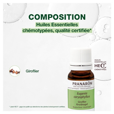 Pranarôm Huile Essentielle Giroflier Eugenia Caryophyllus Bouton Fleuri Hect 10 ml