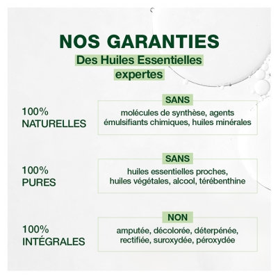 Pranarôm Huile Essentielle Lavande Vraie Bio Lavandula Angustifolia Ssp Angustifolia Sommité Fleurie Hect 10 ml