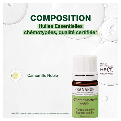 Pranarôm Huile Essentielle Camomille Noble Chamaemelum Nobile Fleur Hect 5 ml