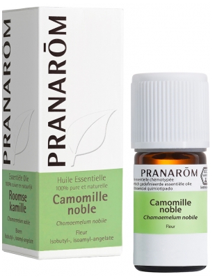 Pranarôm Huile Essentielle Camomille Noble Chamaemelum Nobile Fleur Hect 5 ml