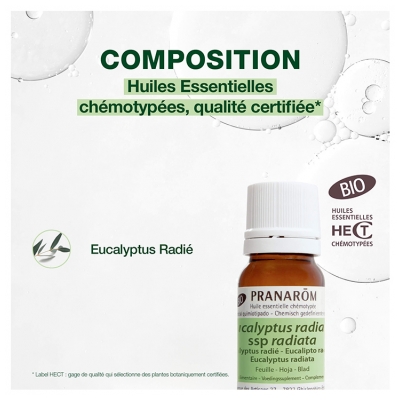 Pranarôm Huile Essentielle Eucalyptus Radié Bio Eucalyptus Radiata Ssp Radiata Feuille Hect 10 ml