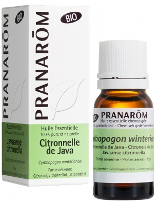 Pranarôm Huile Essentielle Citronnelle de Java Bio Cymbopogon Winterianus Partie Aérienne 10 ml