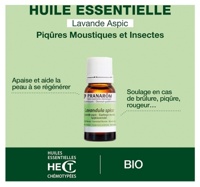 Pranarôm Huile Essentielle Lavande Aspic Bio Lavandula Latifolia Sommité Fleurie Hect 10 ml
