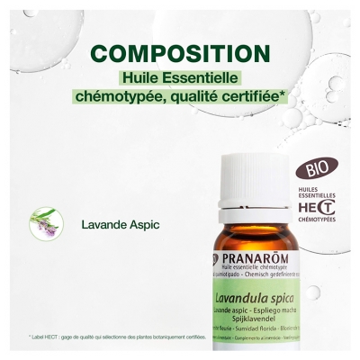 Pranarôm Huile Essentielle Lavande Aspic Bio Lavandula Latifolia Sommité Fleurie Hect 10 ml