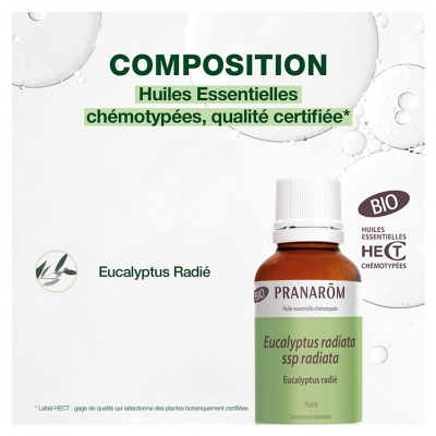 Pranarôm Huile Essentielle d'Eucalyptus Radié Bio Format Familial 30 ml