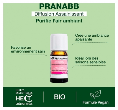 Pranarôm Pranabb Diffusion Assainissant Mélange Pour Diffuseur Bio (Eco) Aux Huiles Essentielles de Ravintsara Bois de Rose Niaouli Pin Maritime 10 ml