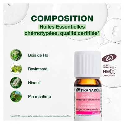 Pranarôm Pranabb Diffusion Assainissant Mélange Pour Diffuseur Bio (Eco) Aux Huiles Essentielles de Ravintsara Bois de Rose Niaouli Pin Maritime 10 ml