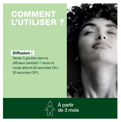 Pranarôm Pranabb Diffusion Assainissant Mélange Pour Diffuseur Bio (Eco) Aux Huiles Essentielles de Ravintsara Bois de Rose Niaouli Pin Maritime 10 ml