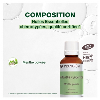 Pranarôm Huile Essentielle de Menthe Poivrée Bio - Partie Aérienne - Format Familial - 30 ml