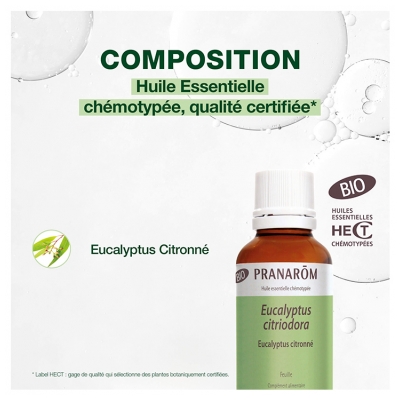 Pranarôm Huile Essentielle d'Eucalyptus Citronné Bio - Format Familial - 30 ml