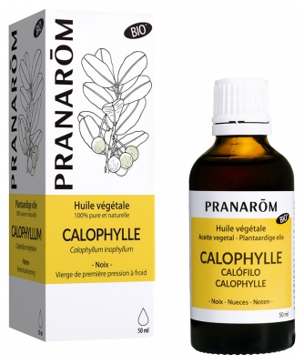 Pranarôm Huile Végétale Calophylle Bio Calophyllum Inophyllum - Première Pression à Froid Des Noix du Calophyllier 50 ml