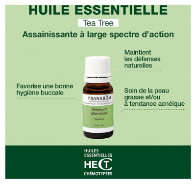 Pranarôm Huile Essentielle Tea Tree Arbre à Thé Melaleuca Alternifolia Hect 10 ml