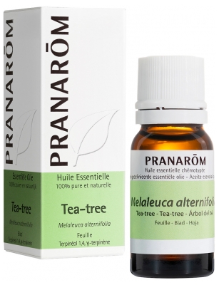 Pranarôm Huile Essentielle Tea Tree Arbre à Thé Melaleuca Alternifolia Hect 10 ml