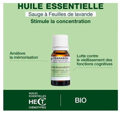 Pranarôm Huile Essentielle Sauge à Feuilles de Lavande Bio Salvia Lavandulifolia Sommité Fleurie Hect 10 ml
