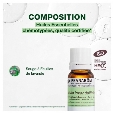 Pranarôm Huile Essentielle Sauge à Feuilles de Lavande Bio Salvia Lavandulifolia Sommité Fleurie Hect 10 ml