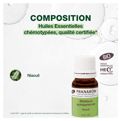 Pranarôm Huile Essentielle Niaouli Bio Melaleuca Quinquenervia Feuille Hect 10 ml