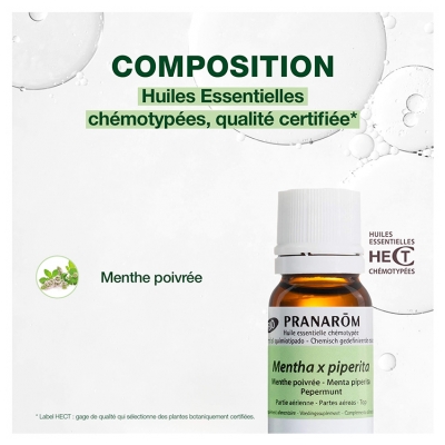 Pranarôm Huile Essentielle Menthe Poivrée Bio Mentha X Piperita Partie Aérienne Hect 5 ml