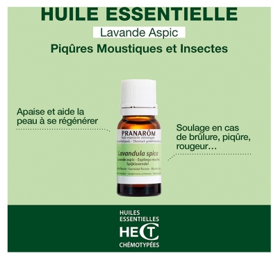 Pranarôm Huile Essentielle Lavande Aspic Lavandula Latifolia Spica Sommité Fleurie Hect 10 ml