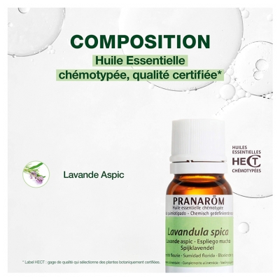 Pranarôm Huile Essentielle Lavande Aspic Lavandula Latifolia Spica Sommité Fleurie Hect 10 ml