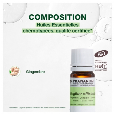 Pranarôm Huile Essentielle Gingembre Bio Zingiber Officinale Rhizome Hect 5 ml