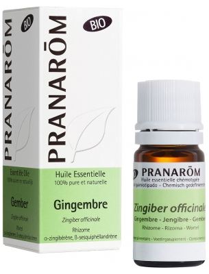 Pranarôm Huile Essentielle Gingembre Bio Zingiber Officinale Rhizome Hect 5 ml