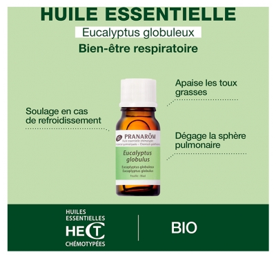 Pranarôm Huile Essentielle Eucalyptus Globuleux Bio Eucalyptus Globulus Feuille 10 ml