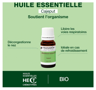 Pranarôm Cajeput Feuille Bio 10 ml