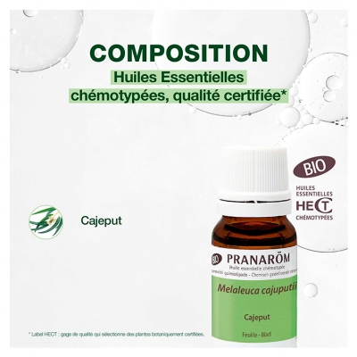 Pranarôm Cajeput Feuille Bio 10 ml